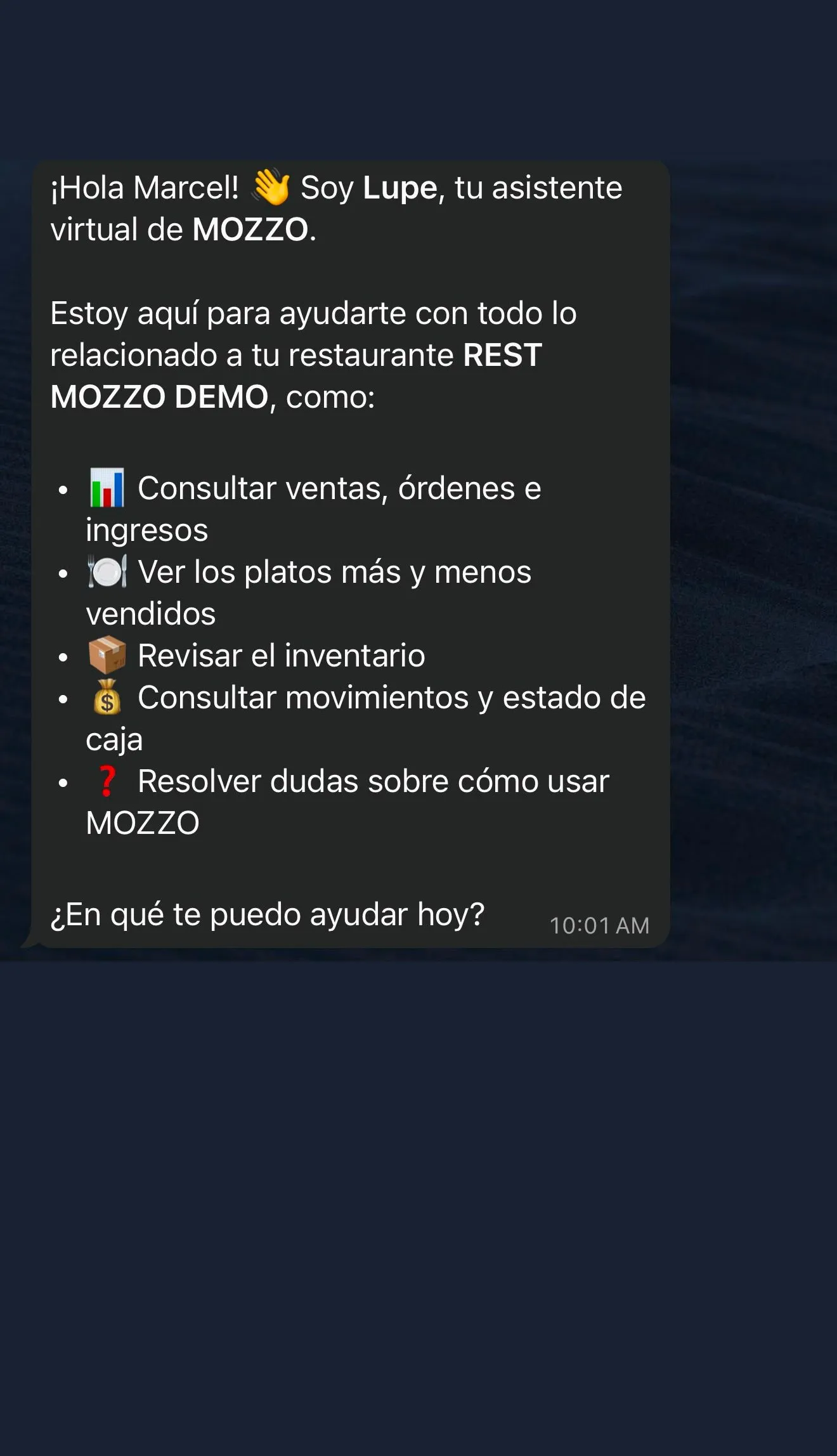 Lupe AI en un celular: mensaje de bienvenida y lo que puede hacer